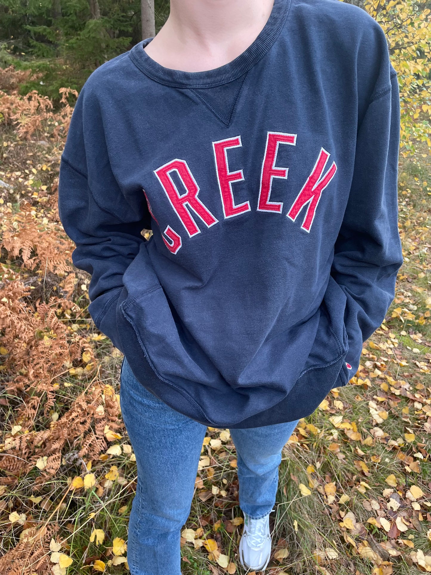 Marineblå USA Sweatshirt CREEK